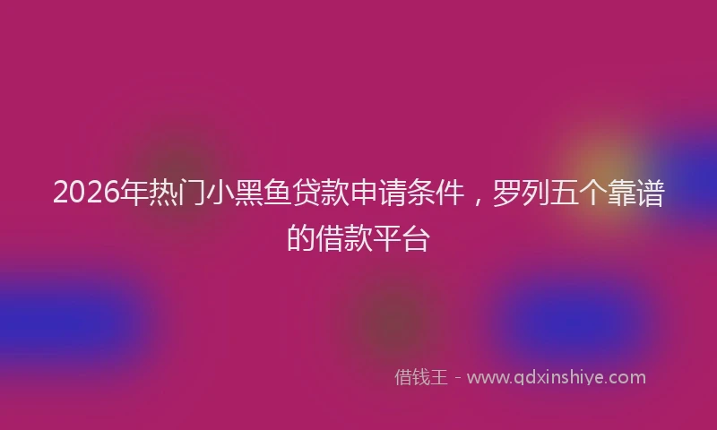 2026年热门小黑鱼贷款申请条件，罗列五个靠谱的借款平台
