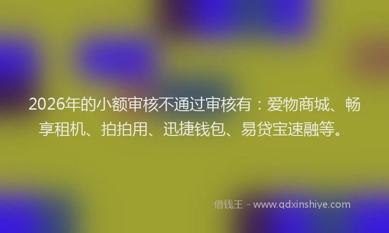 2026年的小额审核不通过审核有：爱物商城、畅享租机、拍拍用、迅捷钱包、易贷宝速融等。