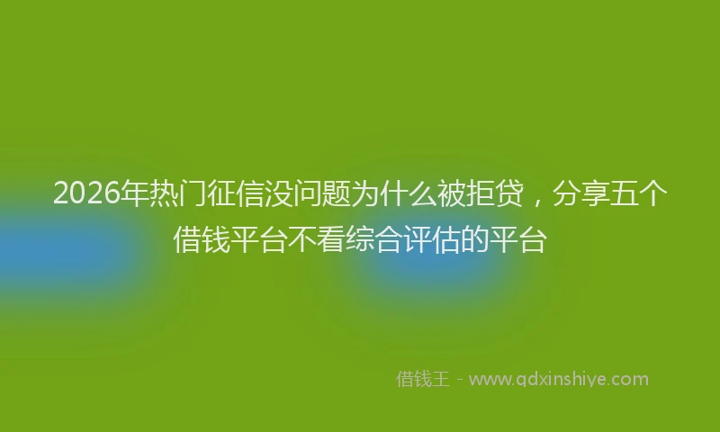 2026年热门征信没问题为什么被拒贷，分享五个借钱平台不看综合评估的平台