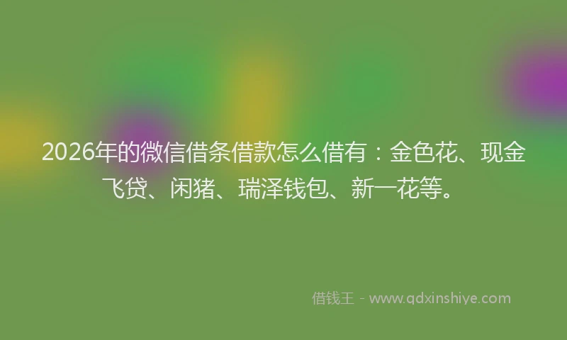 2026年的微信借条借款怎么借有:金色花、现金飞贷、闲猪、瑞泽钱包、新一花等。