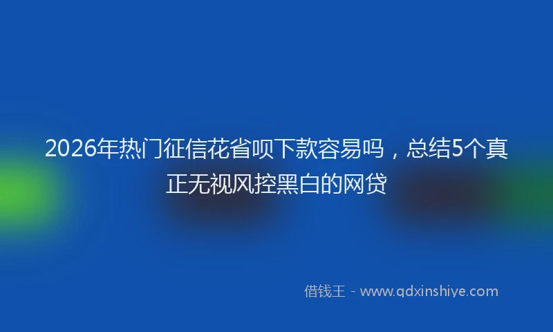 2026年热门征信花省呗下款容易吗，总结5个真正无视风控黑白的网贷
