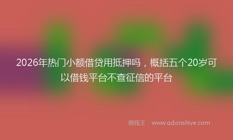 2026年热门小额借贷用抵押吗，概括五个20岁可以借钱平台不查征信的平台