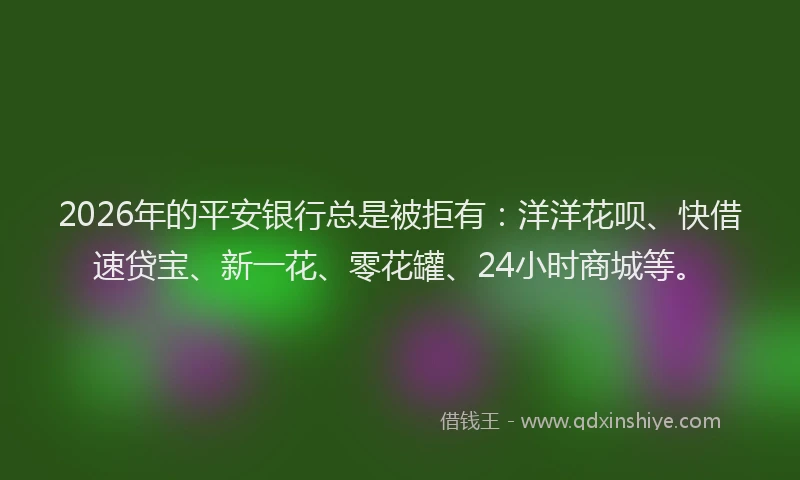 2026年的平安银行总是被拒有：洋洋花呗、快借速贷宝、新一花、零花罐、24小时商城等。