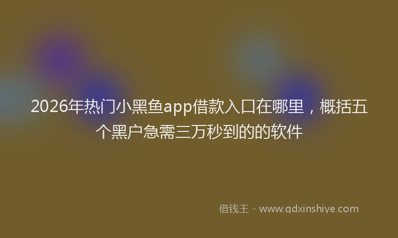 2026年热门小黑鱼app借款入口在哪里，概括五个黑户急需三万秒到的的软件