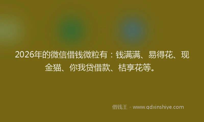 2026年的微信借钱微粒有：钱满满、易得花、现金猫、你我贷借款、桔享花等。