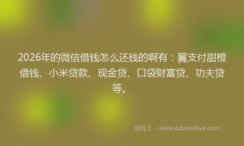 2026年的微信借钱怎么还钱的啊有:翼支付甜橙借钱、小米贷款、现金贷、口袋财富贷、功夫贷等。