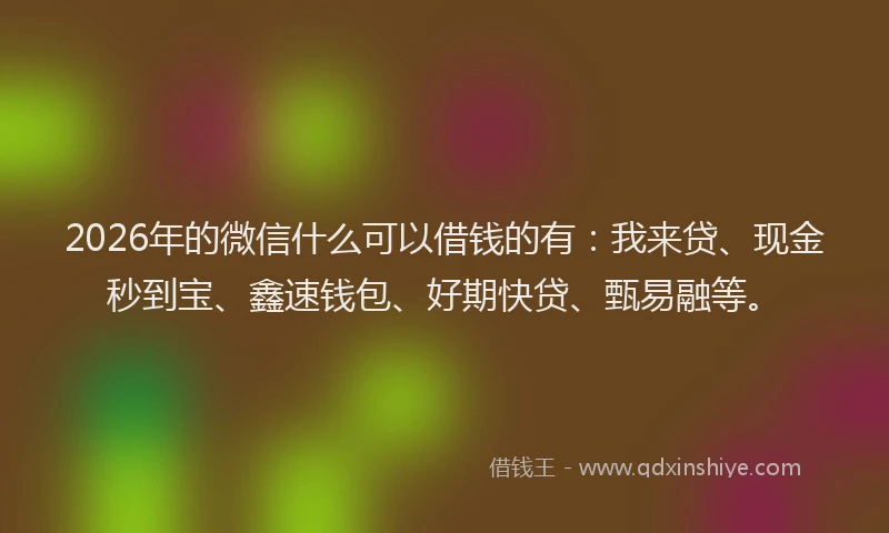 2026年的微信什么可以借钱的有：我来贷、现金秒到宝、鑫速钱包、好期快贷、甄易融等。