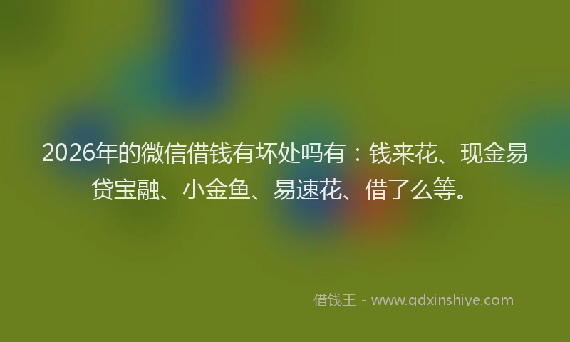 2026年的微信借钱有坏处吗有：钱来花、现金易贷宝融、小金鱼、易速花、借了么等。