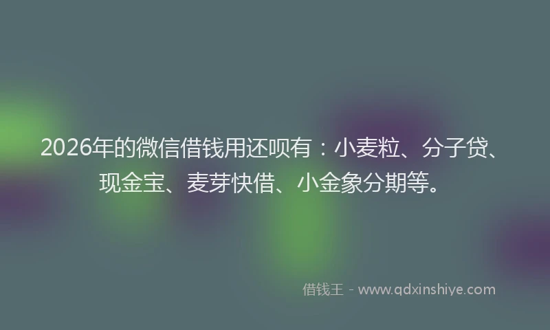 2026年的微信借钱用还呗有：小麦粒、分子贷、现金宝、麦芽快借、小金象分期等。
