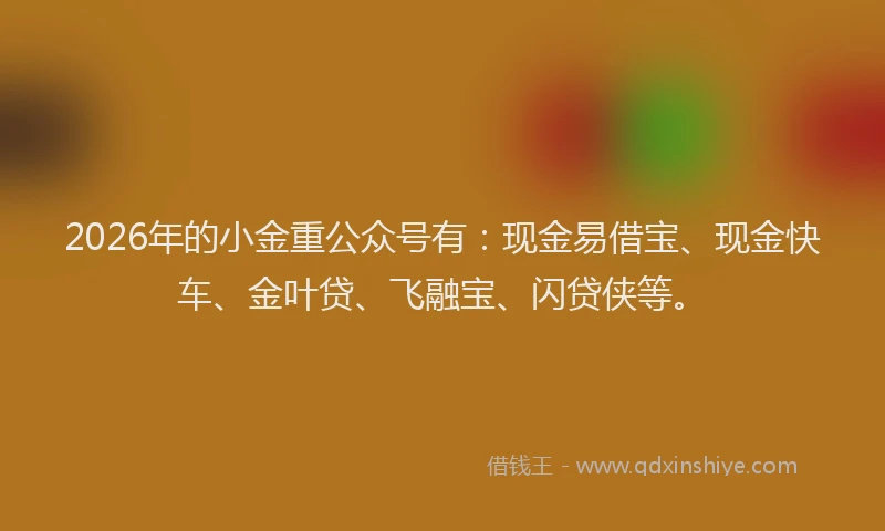 2026年的小金重公众号有：现金易借宝、现金快车、金叶贷、飞融宝、闪贷侠等。