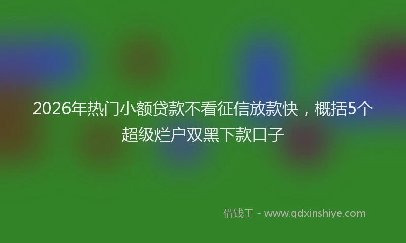 2026年热门小额贷款不看征信放款快，概括5个超级烂户双黑下款口子