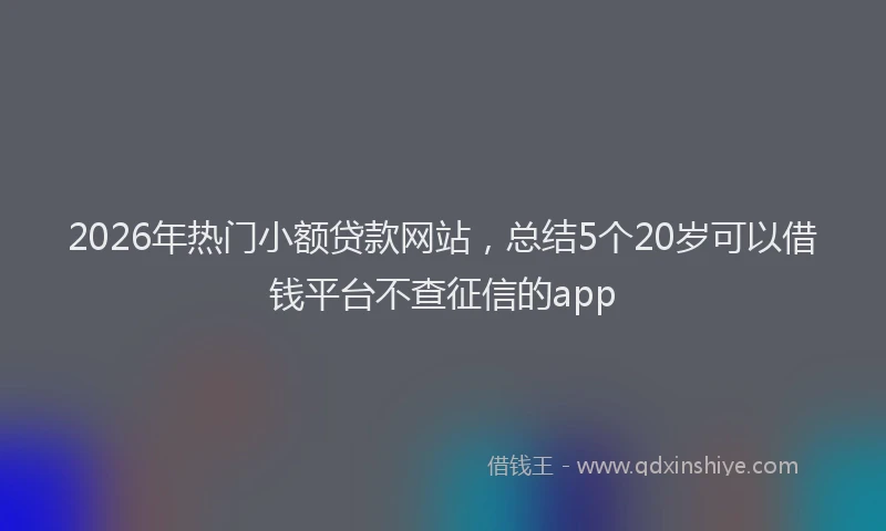 2026年热门小额贷款网站，总结5个20岁可以借钱平台不查征信的app