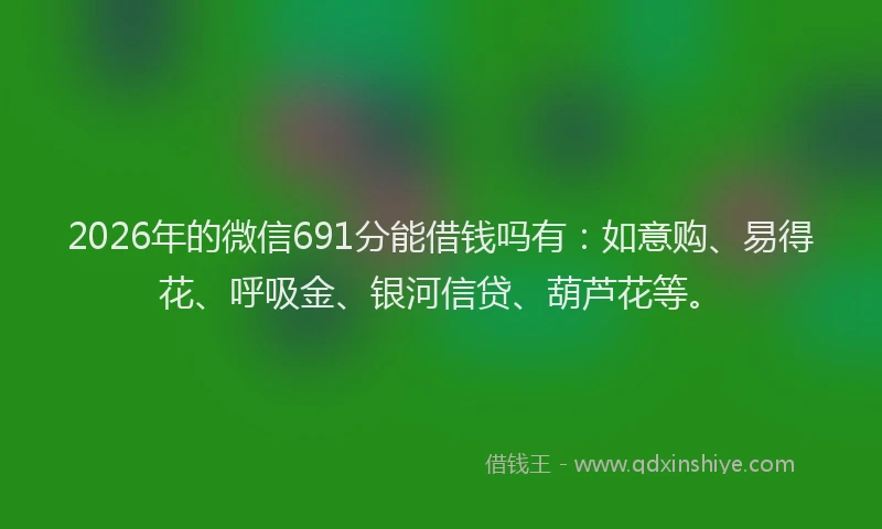2026年的微信691分能借钱吗有：如意购、易得花、呼吸金、银河信贷、葫芦花等。