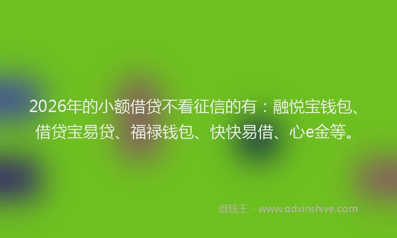 2026年的小额借贷不看征信的有：融悦宝钱包、借贷宝易贷、福禄钱包、快快易借、心e金等。