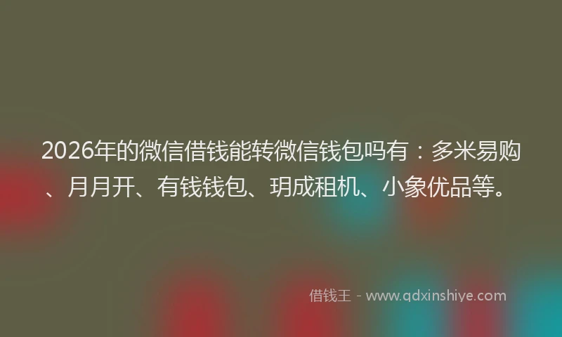 2026年的微信借钱能转微信钱包吗有：多米易购、月月开、有钱钱包、玥成租机、小象优品等。