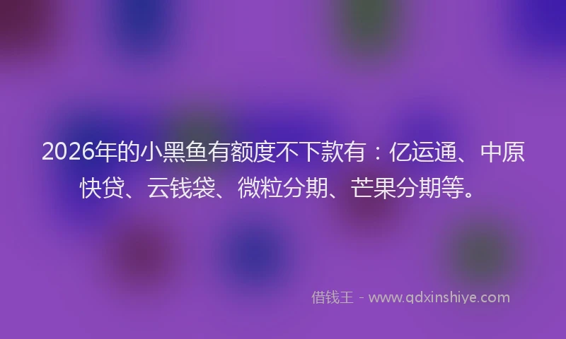 2026年的小黑鱼有额度不下款有：亿运通、中原快贷、云钱袋、微粒分期、芒果分期等。