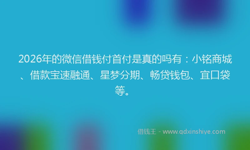 2026年的微信借钱付首付是真的吗有：小铭商城、借款宝速融通、星梦分期、畅贷钱包、宜口袋等。