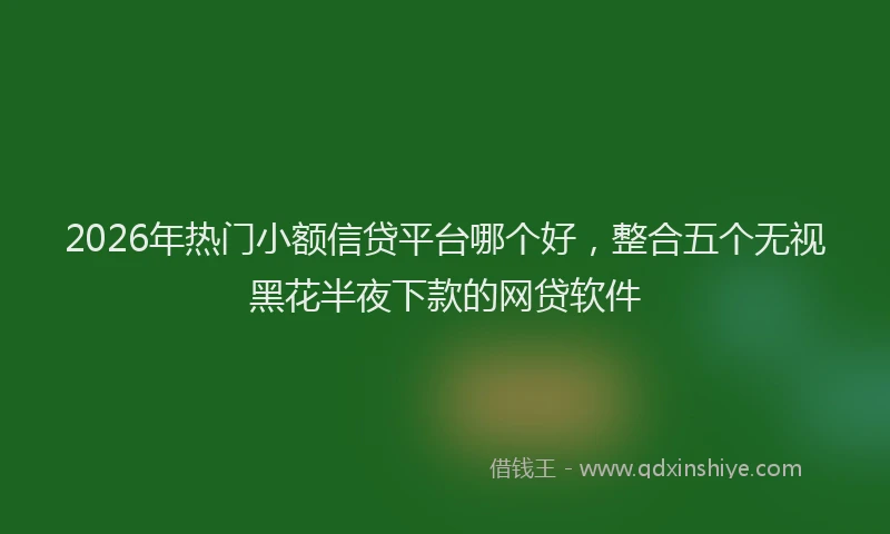 2026年热门小额信贷平台哪个好,整合五个无视黑花半夜下款的网贷软件
