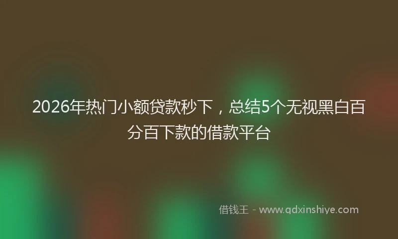 2026年热门小额贷款秒下，总结5个无视黑白百分百下款的借款平台
