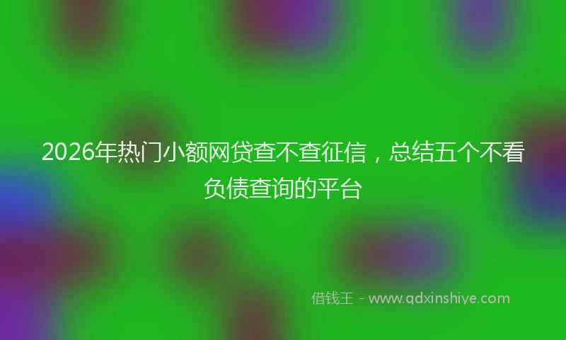2026年热门小额网贷查不查征信，总结五个不看负债查询的平台