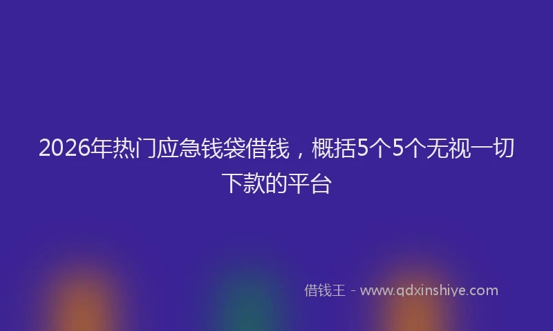 2026年热门应急钱袋借钱，概括5个5个无视一切下款的平台