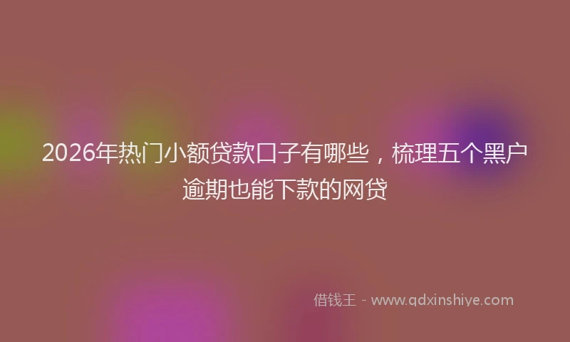 2026年热门小额贷款口子有哪些，梳理五个黑户逾期也能下款的网贷