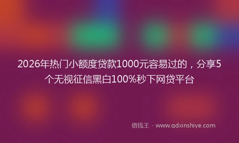2026年热门小额度贷款1000元容易过的，分享5个无视征信黑白100%秒下网贷平台