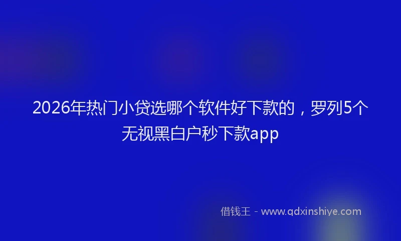 2026年热门小贷选哪个软件好下款的，罗列5个无视黑白户秒下款app