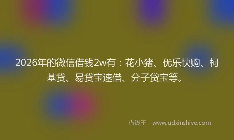 2026年的微信借钱2w有：花小猪、优乐快购、柯基贷、易贷宝速借、分子贷宝等。