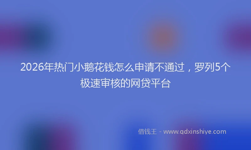 2026年热门小鹅花钱怎么申请不通过，罗列5个极速审核的网贷平台