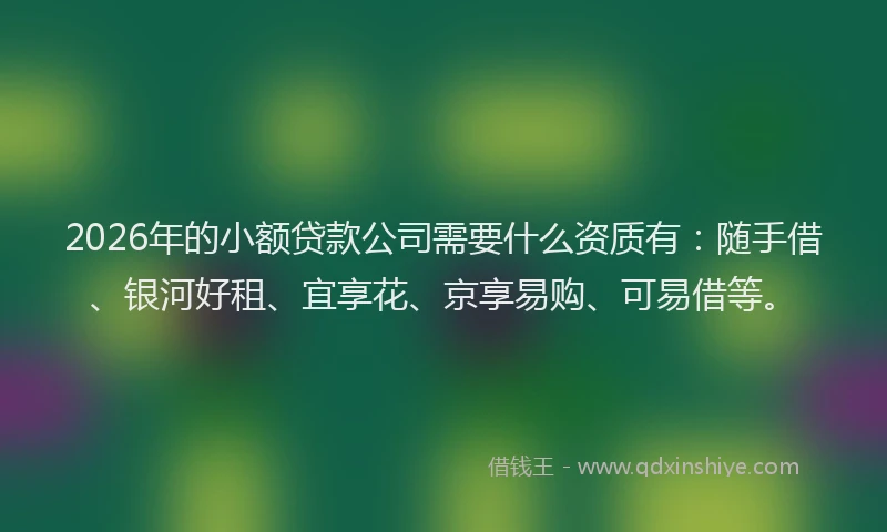 2026年的小额贷款公司需要什么资质有：随手借、银河好租、宜享花、京享易购、可易借等。