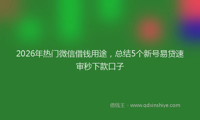 2026年热门微信借钱用途，总结5个新号易贷速审秒下款口子