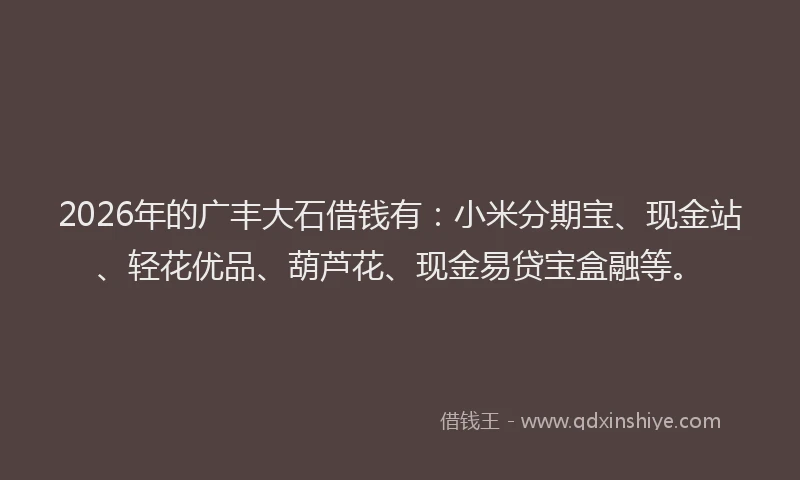 2026年的广丰大石借钱有:小米分期宝、现金站、轻花优品、葫芦花、现金易贷宝盒融等。