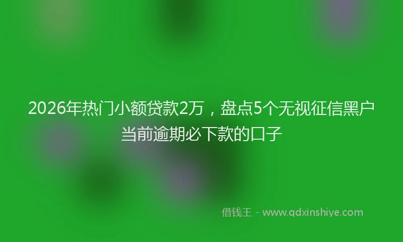 2026年热门小额贷款2万，盘点5个无视征信黑户当前逾期必下款的口子