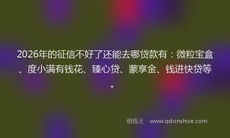 2026年的征信不好了还能去哪贷款有：微粒宝盒、度小满有钱花、臻心贷、蒙享金、钱进快贷等。