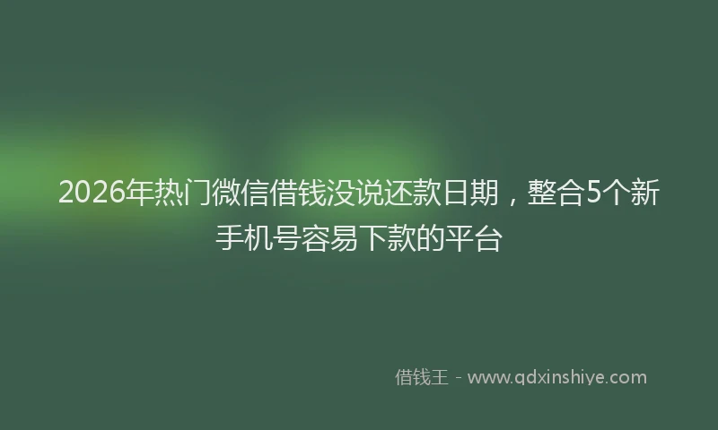 2026年热门微信借钱没说还款日期，整合5个新手机号容易下款的平台