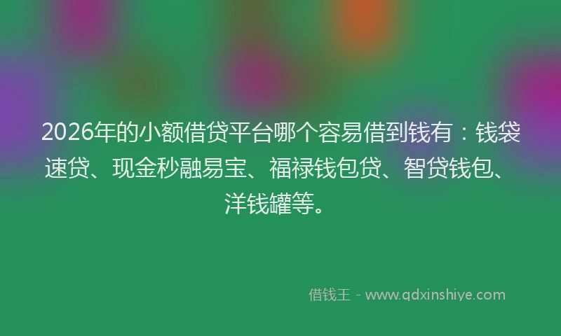 2026年的小额借贷平台哪个容易借到钱有：钱袋速贷、现金秒融易宝、福禄钱包贷、智贷钱包、洋钱罐等。