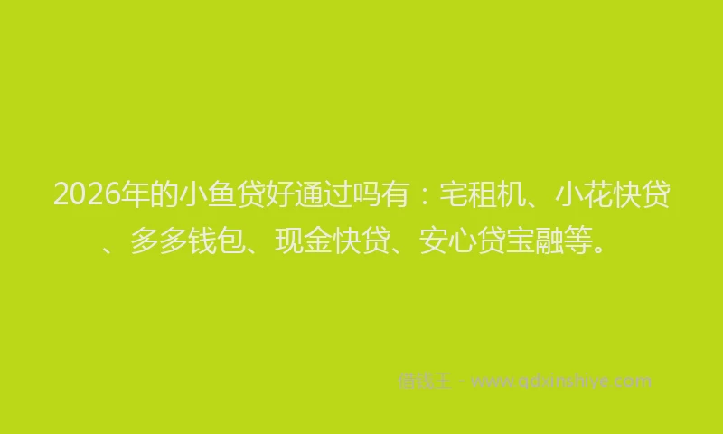 2026年的小鱼贷好通过吗有：宅租机、小花快贷、多多钱包、现金快贷、安心贷宝融等。