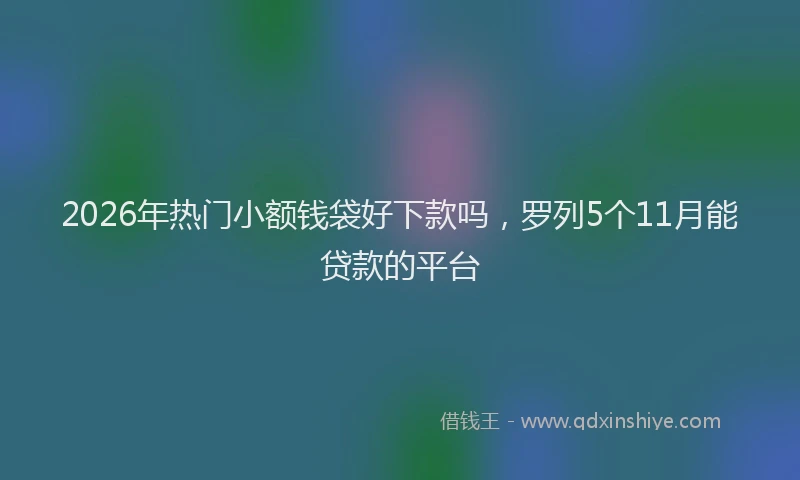 2026年热门小额钱袋好下款吗，罗列5个11月能贷款的平台