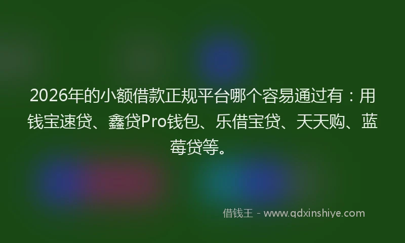 2026年的小额借款正规平台哪个容易通过有:用钱宝速贷、鑫贷Pro钱包、乐借宝贷、天天购、蓝莓贷等。
