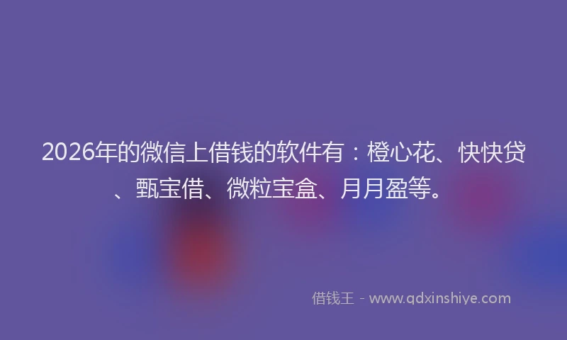 2026年的微信上借钱的软件有：橙心花、快快贷、甄宝借、微粒宝盒、月月盈等。