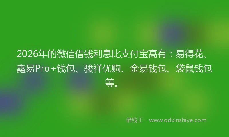 2026年的微信借钱利息比支付宝高有：易得花、鑫易Pro+钱包、骏祥优购、金易钱包、袋鼠钱包等。