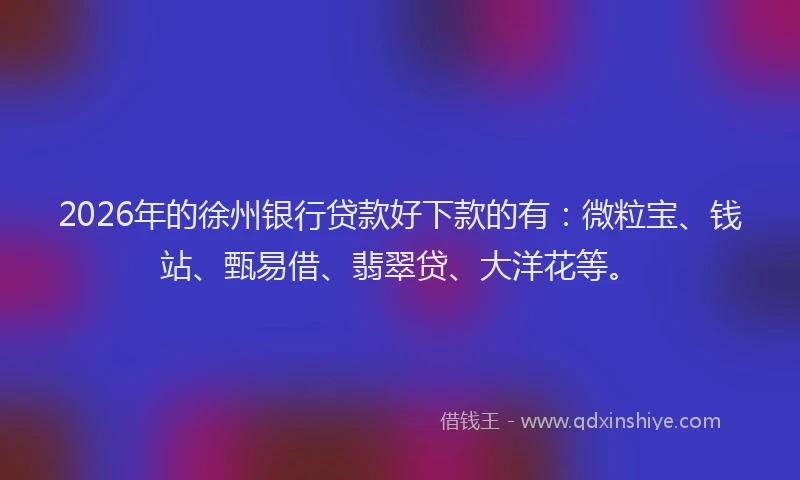 2026年的徐州银行贷款好下款的有：微粒宝、钱站、甄易借、翡翠贷、大洋花等。