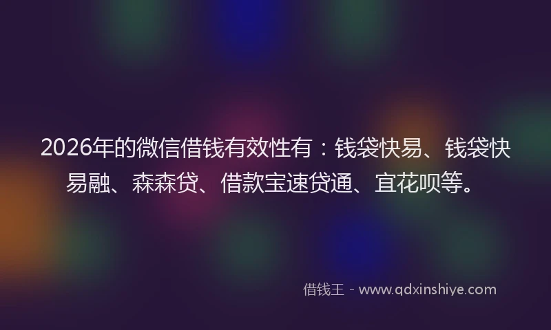 2026年的微信借钱有效性有：钱袋快易、钱袋快易融、森森贷、借款宝速贷通、宜花呗等。