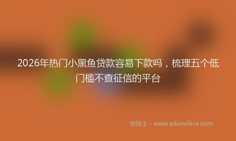 2026年热门小黑鱼贷款容易下款吗，梳理五个低门槛不查征信的平台