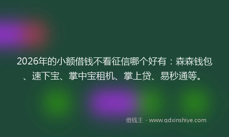 2026年的小额借钱不看征信哪个好有：森森钱包、速下宝、掌中宝租机、掌上贷、易秒通等。