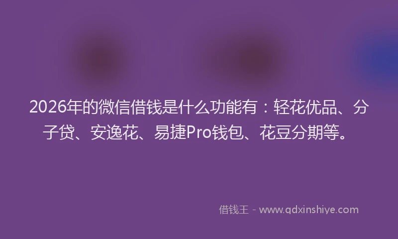 2026年的微信借钱是什么功能有：轻花优品、分子贷、安逸花、易捷Pro钱包、花豆分期等。