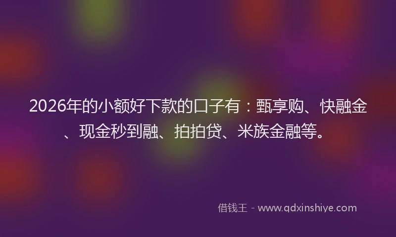 2026年的小额好下款的口子有：甄享购、快融金、现金秒到融、拍拍贷、米族金融等。