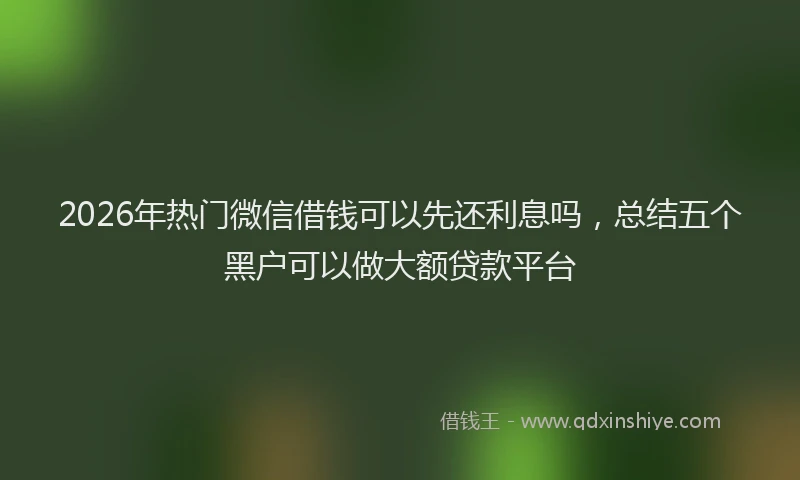 2026年热门微信借钱可以先还利息吗,总结五个黑户可以做大额贷款平台