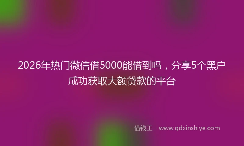 2026年热门微信借5000能借到吗，分享5个黑户成功获取大额贷款的平台